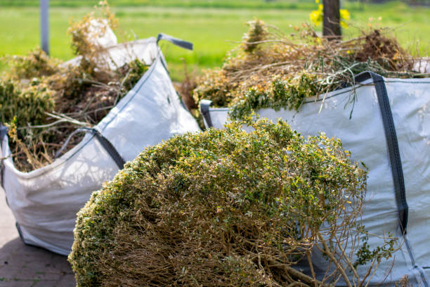 Best Trash Removal Near Me  in Templeton, CA